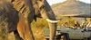 Sinamatela Camp
